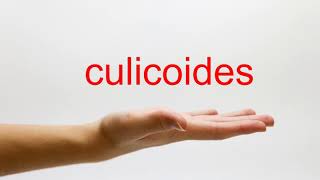 How to Pronounce culicoides  American English [upl. by Kara-Lynn573]