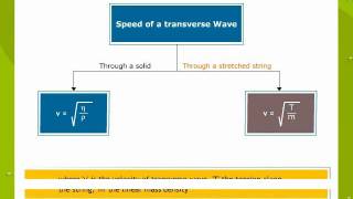 Wave Motion [upl. by Krawczyk]