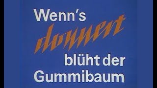 Fernsehspiel  Wenns donnert blüht der Gummibaum  Fernsehen der DDR 1982 [upl. by Natsirk678]