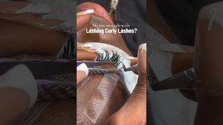 Curly Lash Tips lashes lashtechtips lashtraining eyelashextensions lashtech love lashes [upl. by Cioffred2]