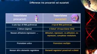 Lezione 20  RNA polimerasi [upl. by Hermes]