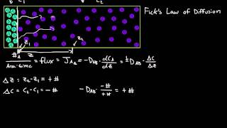 Ficks First Law of Diffusion [upl. by Eirrab]