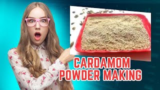 How To Make Cardamom Powder At Home  Cardamom Powder Making  Elaichi Powder Recipe [upl. by Maurey]