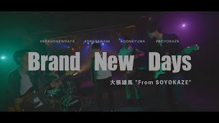 そよかぜ大根雄馬『Brand New Days』Official Music Video [upl. by Root]