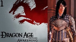 Modded Awakening Part 1 WardenCommander of the Grey [upl. by Tioneb328]