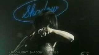 Akina Nakamori  Moonlight Shadow  月に吠えろ [upl. by Atinna]