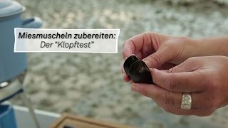 Der Klopftest Wie erkenne ich eine frische Miesmuschel [upl. by Kimura]