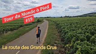 TOUR DU MONDE 19  La Route Des Grands Crus 🍷 [upl. by Hareemas860]