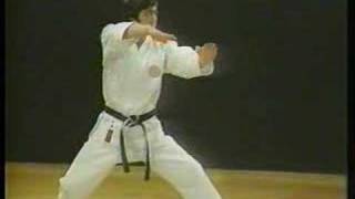 Heian Yondan  Shotokan Karate [upl. by Heiner]