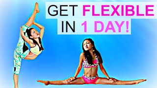 How to get FLEXIBLE in ONE DAY [upl. by Iong]