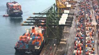 Singapore Container Terminal [upl. by Adiuqal]