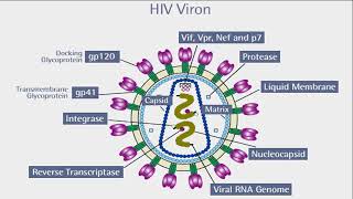 2 Anti Viral drugs  Anti HIV drugs AIDS [upl. by Lorrad]