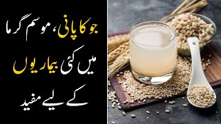 Jau Or Barley Water Jo ka Pani Benefits Will Make You Amazed  How to make Barley Water [upl. by Yoong]