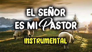 EL SEÑOR ES MI PASTOR Instrumental para orar [upl. by Abehsile]