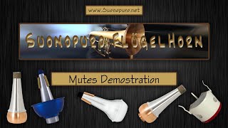 Suonopuro FlÃ¼gelHorn Mutes Demo [upl. by Yrgoerg]