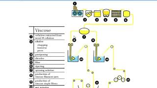 Kimyasal Lifler Viskon Üretim Şeması [upl. by Nidnerb]