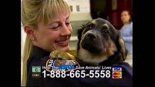 2005 ASPCA commercial [upl. by Azaleah937]