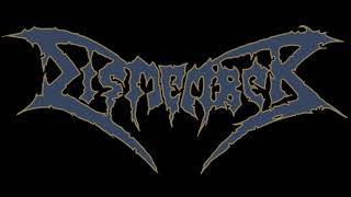 Dismember  Live in Stockholm 1993 Full Concert [upl. by Maroj]