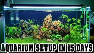 THE OSCAR AQUARIUM  complete tour  The king of DIY [upl. by Vizza]