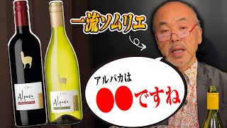 【激安ワイン】アルパカって美味しいですか？ [upl. by Basile682]