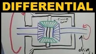 Differentials  Explained [upl. by Ettener407]