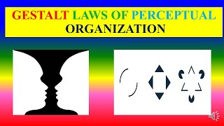 GESTALT LAWS OF PERCEPTUAL ORGANIZATION  Applied psychology for Nursing [upl. by Eneleahs]