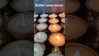 Butter Lamp house shorts butterlamphouse viralshorts youtubeshorts [upl. by Girardi680]