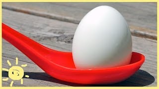 EAT  Foolproof Hardboiled Egg Recipe and How to [upl. by Ioab]