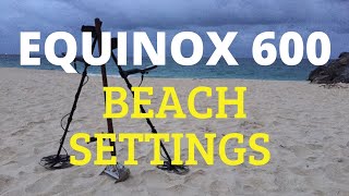 Our Beach Settings for the Minelab Equinox 600 Beginners Guide [upl. by Alleunamme]