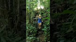 Trilha da Prainha Itacaré BA viagem shorts shotsvideo [upl. by Llecrad49]