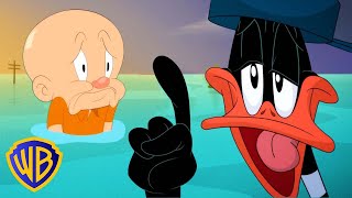 Looney Tunes en Latino Lucas no puede repararlo todo  WB Kids [upl. by Allesiram]