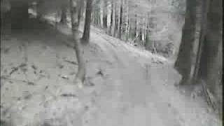 Glentress and Kielder singletrack [upl. by Sabella]