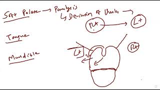 Excerpt from the Live Class Deviation of Uvula Tongue Mandible  Same side or Opposite Side [upl. by Maxy]