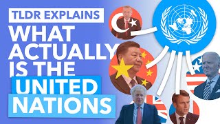 The United Nations Explained How Does it ACTUALLY Work  TLDR News [upl. by Tingley]