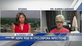 ADPH Rise in Cyclospora infections [upl. by Ahsikit337]