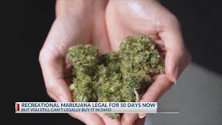 Recreational marijuana legal for 50 days cant be legally bought in Ohio yet [upl. by Nnaeus630]