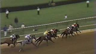 1980 Preakness Stakes Another Angle Of quotThe Controversyquot [upl. by Eel]