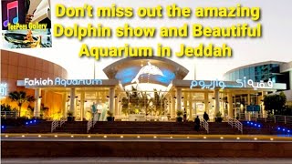 Dolphin show in Fakieh AquariumJeddah Saudi Arabia Tourism Aquarium Fish  Aquarium Saudi Arabia [upl. by Yelsnia512]