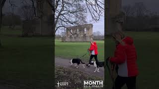 Glastonbury Abbey Month in a Minute Jan 2023 [upl. by Kramlich]