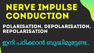 Nerve Impulse ConductionPolarisation Depolarisation RepolarisationNeural control amp Cordination [upl. by Chrisse]