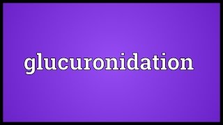 Glucuronidation Meaning [upl. by Philly]