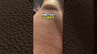 What Are These Weird Bumps 😨 viral [upl. by Donough382]