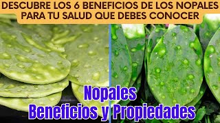 Nopales Descubre los 6 Beneficios de los Nopales para Tu Salud que Debes Conocer [upl. by Annovahs]