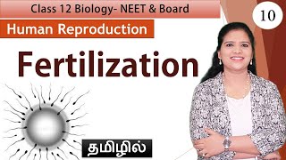 Fertilization  Human Reproduction Class 12 Biology [upl. by Meehan255]