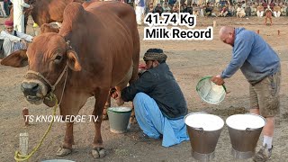 World Highest Milking 41740 Kg Milk Record Sahiwal Cow Milk Competition Govt LES Farm Bahadar Nagar [upl. by Naiviv]