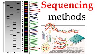 DNA sequencing methods [upl. by Helms]