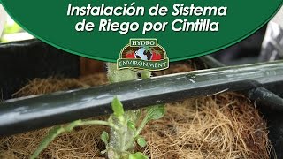 Cómo instalar mi de sistema de riego por cintilla [upl. by Apostles]