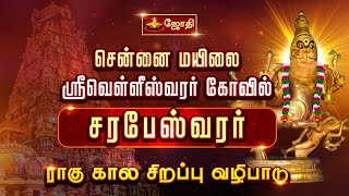 சென்னை ஸ்ரீவெள்ளீஸ்வரர் கோவில்  சரபேஸ்வரர்  ராகு கால சிறப்பு வழிபாடு  Chennai Vellieswarar Kovil [upl. by Ardnalahs324]