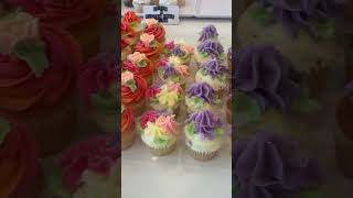 The Cupcake Room Leichhardt Sydney Australia [upl. by Yroj]