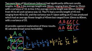 What is a pure line loss of heterozygosity inbreeding and hybrid [upl. by Liana]